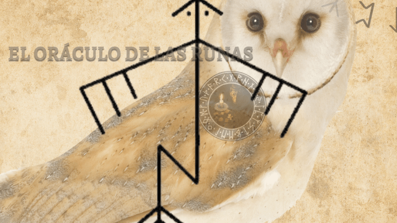 Búho Tótem significado ( ANIMAL DE PODER – AMULETO )