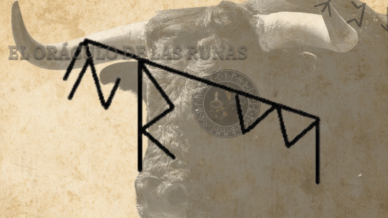 Toro Tótem significado ( ANIMAL DE PODER – AMULETO )