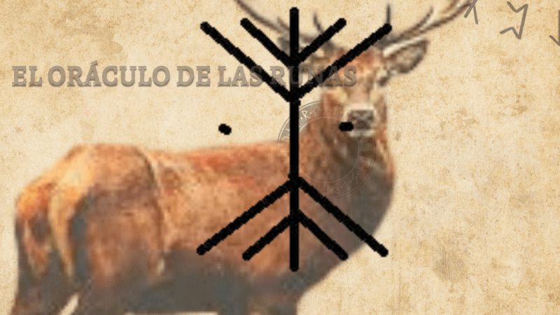 Ciervo Tótem significado ( ANIMAL DE PODER – AMULETO )