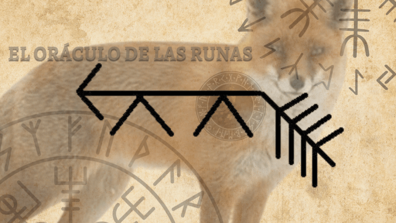 Zorro tótem  significado ( ANIMAL DE PODER – AMULETO )