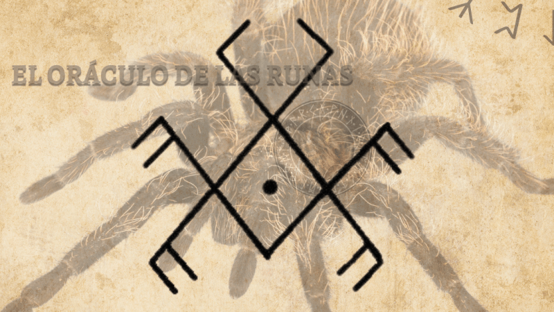 Araña tótem  significado ( ANIMAL DE PODER – AMULETO )