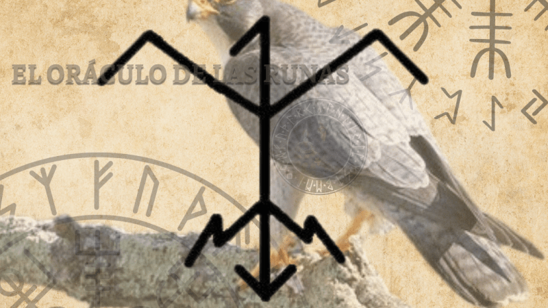 Halcón Tótem  significado ( ANIMAL DE PODER – AMULETO )