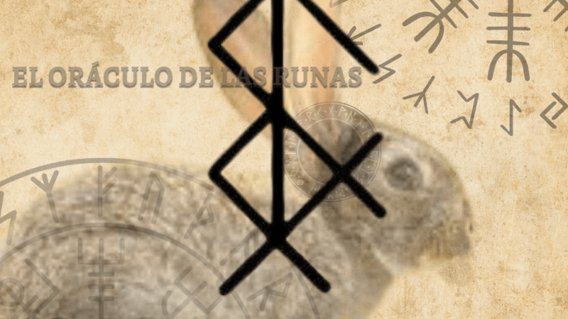 Conejo tótem significado ( ANIMAL DE PODER – AMULETO