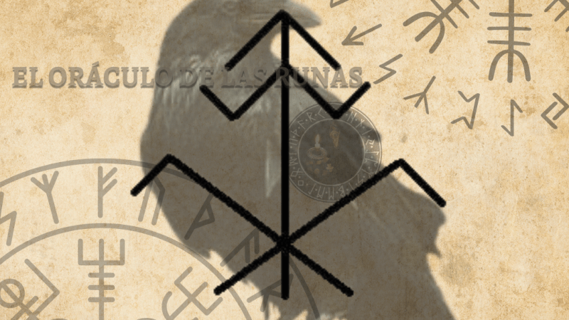 Cuervo Tótem significado ( ANIMAL DE PODER – AMULETO )