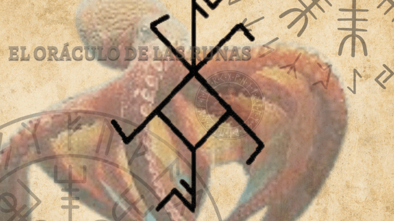 Pulpo Tótem Significado