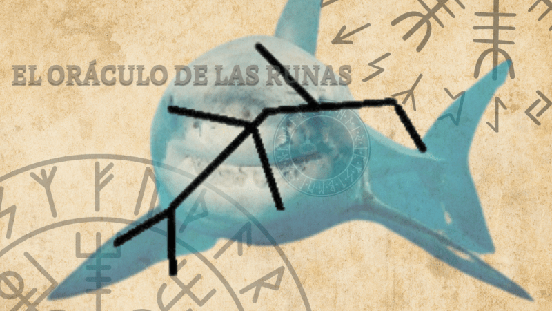 Tiburón Tótem Significado