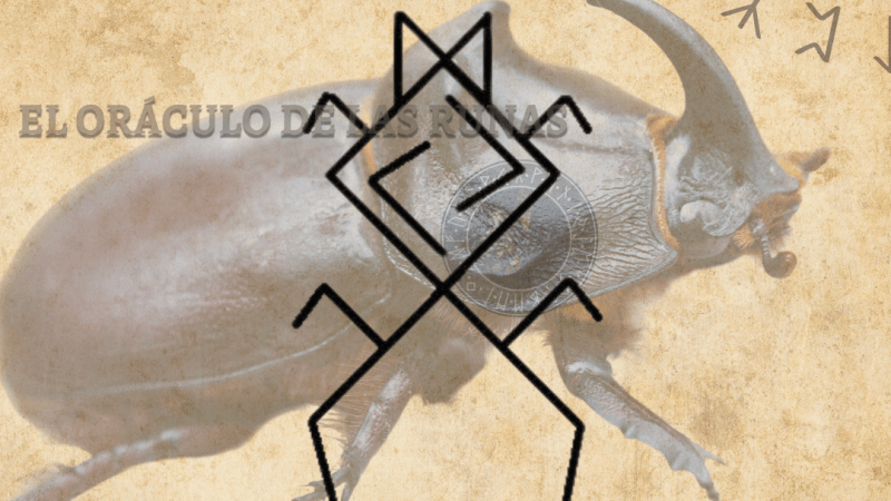 Escarabajo Tótem Significado