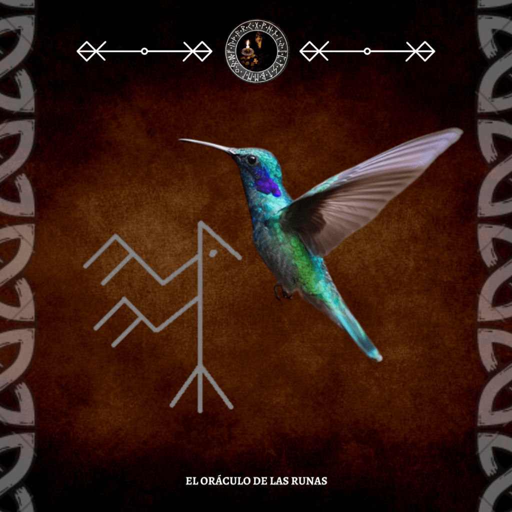 TÓTEM COLIBRÍ significado ( ANIMAL DE PODER - AMULETO ) - El Oráculo de ...